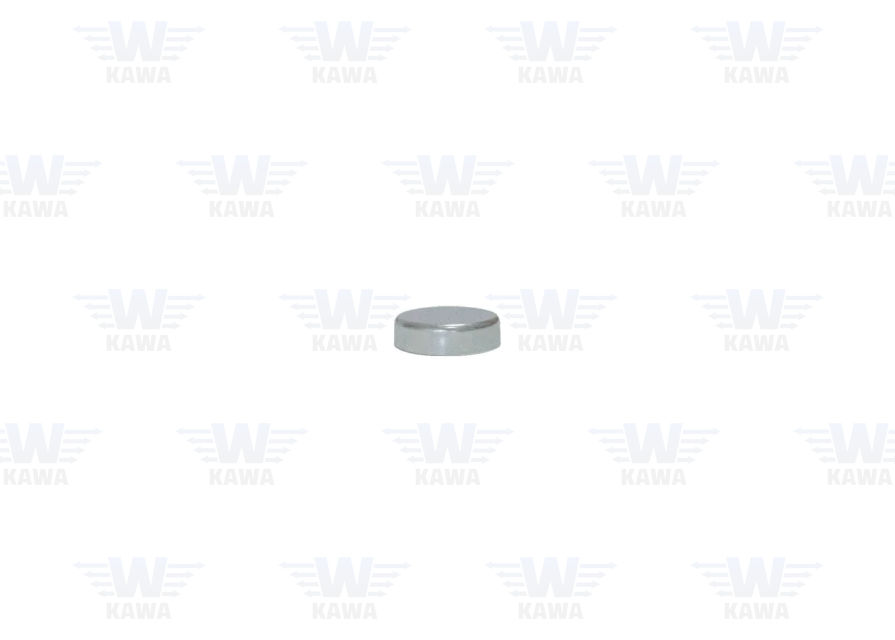 Knorr-Bremse Steel Cap Ø40 x 11 mm KWP-40135-K