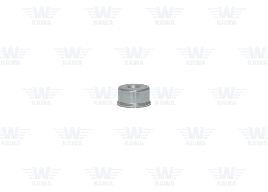 Knorr-Bremse Stahlkappe Ø54 x 28 mm KWP-40099-K