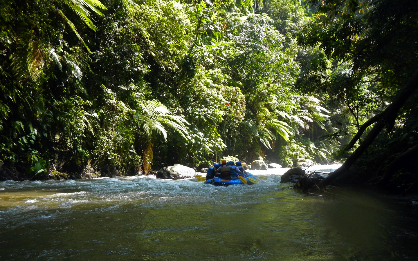 Ayung River