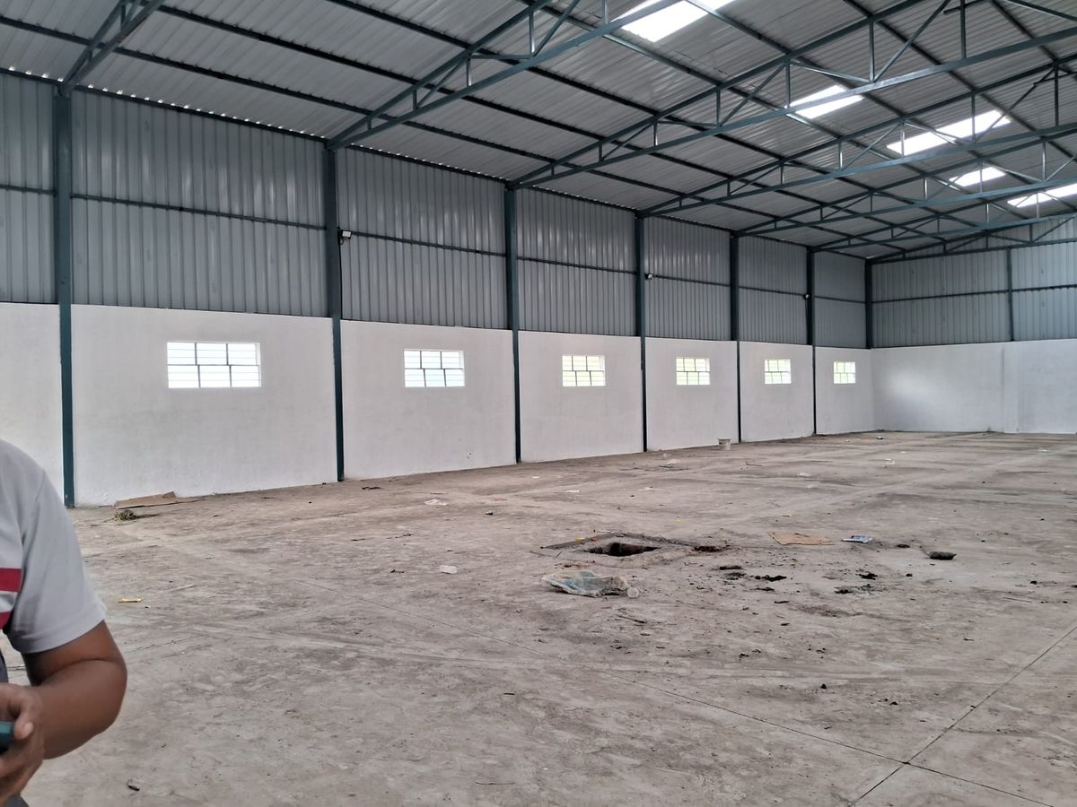 Clear Height / Ceiling