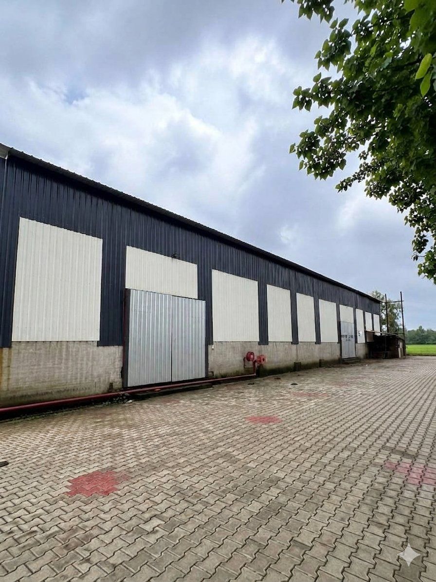 Outside View