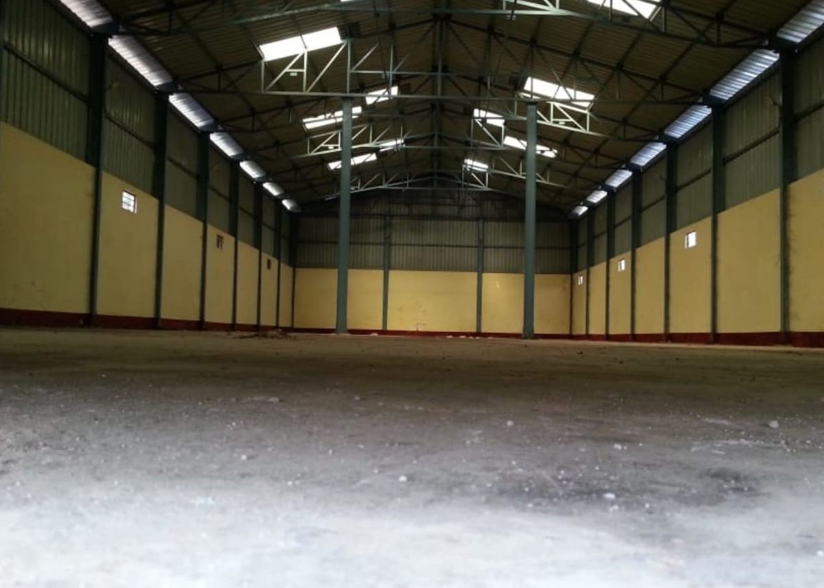 Clear Height / Ceiling