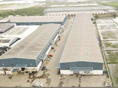 30,000 Sq Ft A-Grade Warehouse / Industrial Shed for Rent on Ahmedabad–Rajkot Highway, Gujarat