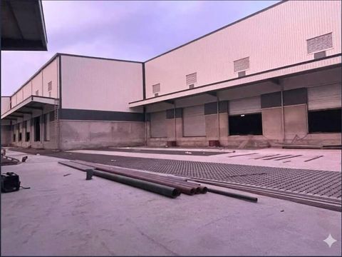 50,000 Sq Ft fully compliant A-Grade warehouse available for leasing In Greater Noida - NH91, UP