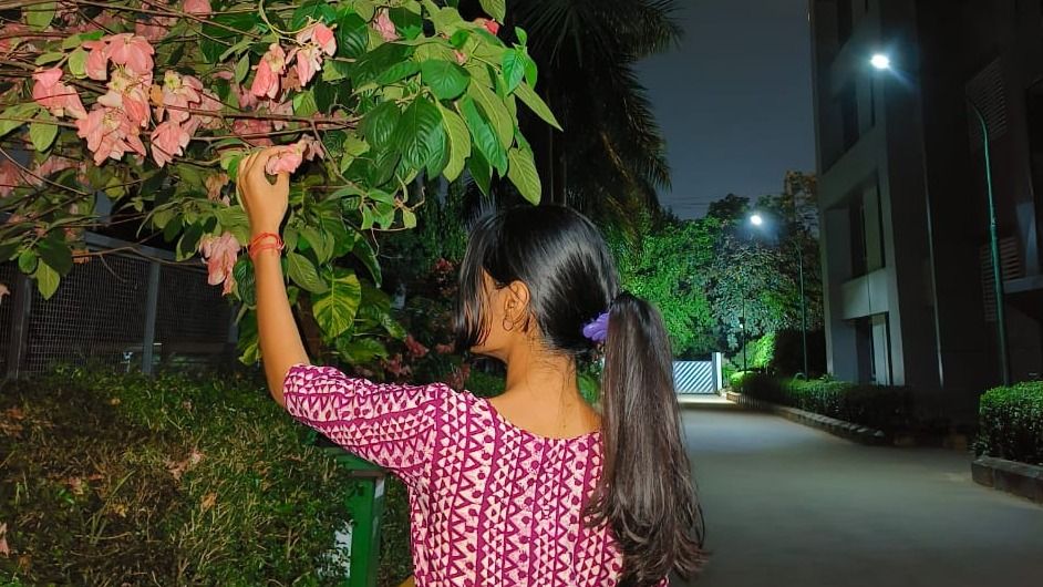 The Evening Pink Beauty with beautiful flowers 🌹