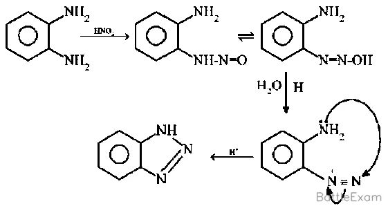 Explanation Figure 5
