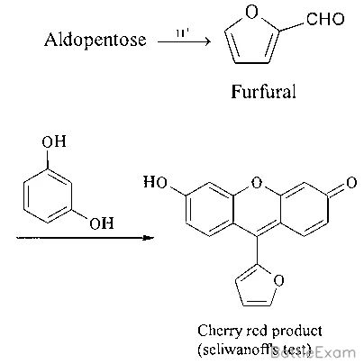 Explanation Figure 1