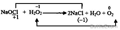 Explanation Figure 1