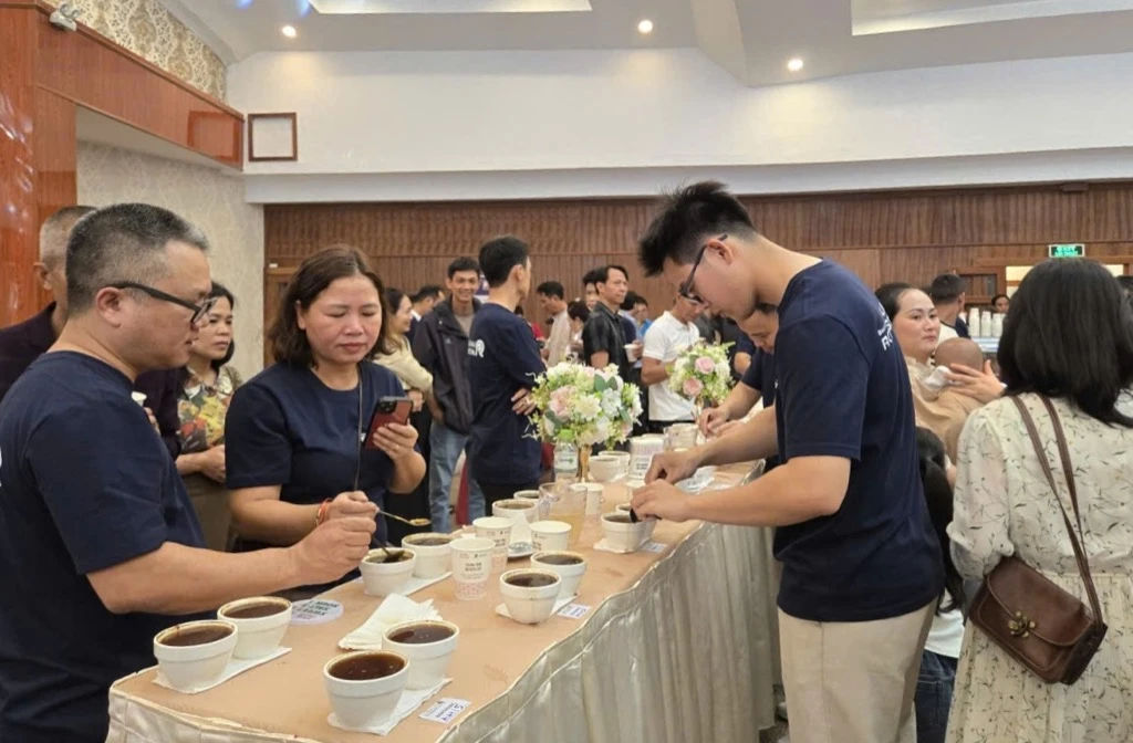 Các chuyên gia tham dự