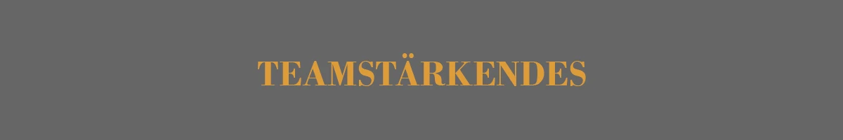 Der digitale Musikvideo Workshop 4 TEAMSTARKENDES
