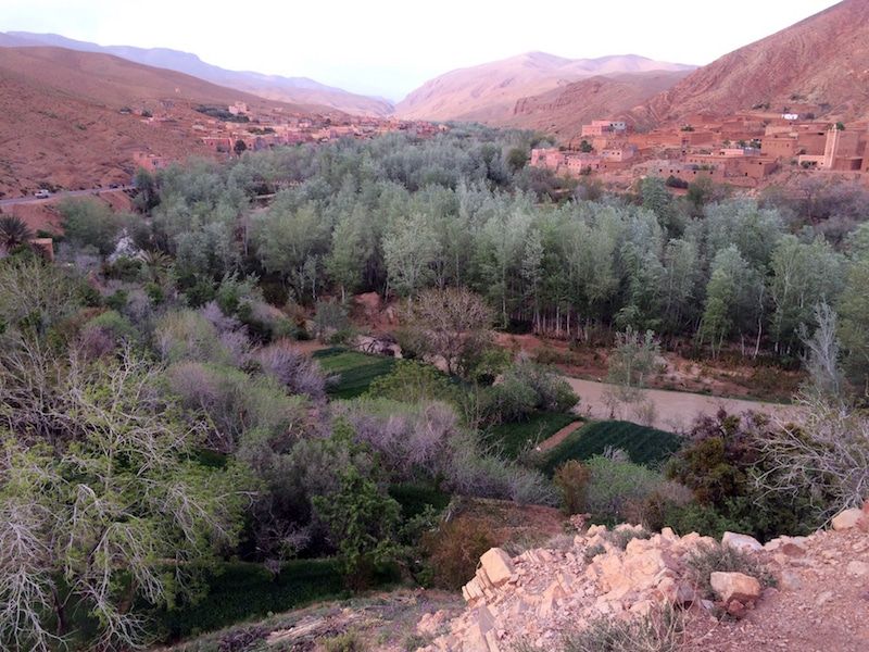 View from a Kasbah