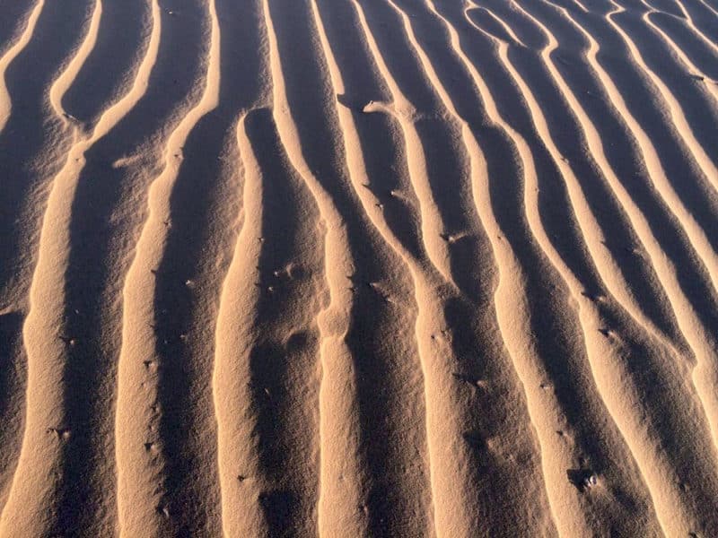 Artistry of the Sahara - Sand Patterns