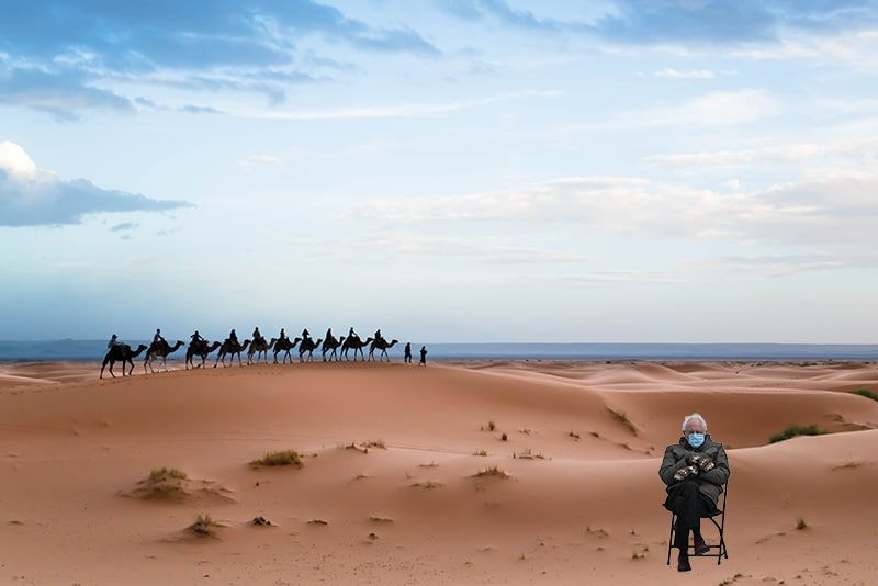 camel caravan in desert