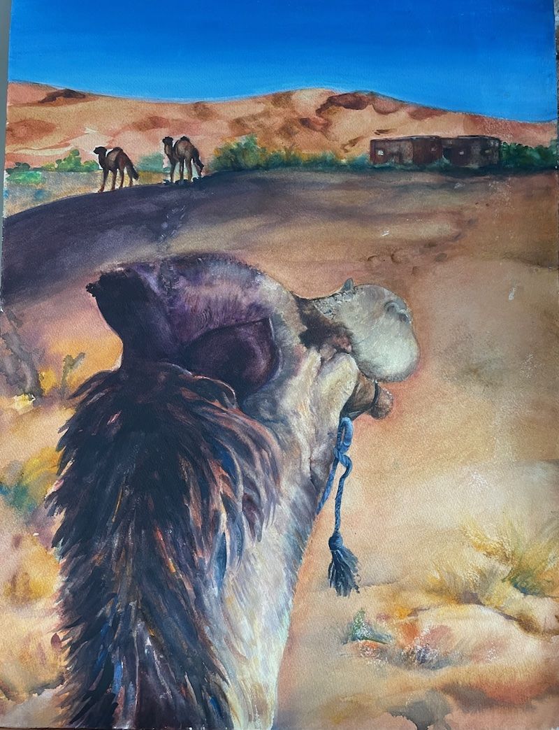 on the back of a camel