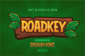 Roadkey Poster 1