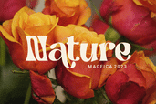 Magfica Font 8