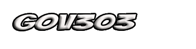 GOV303