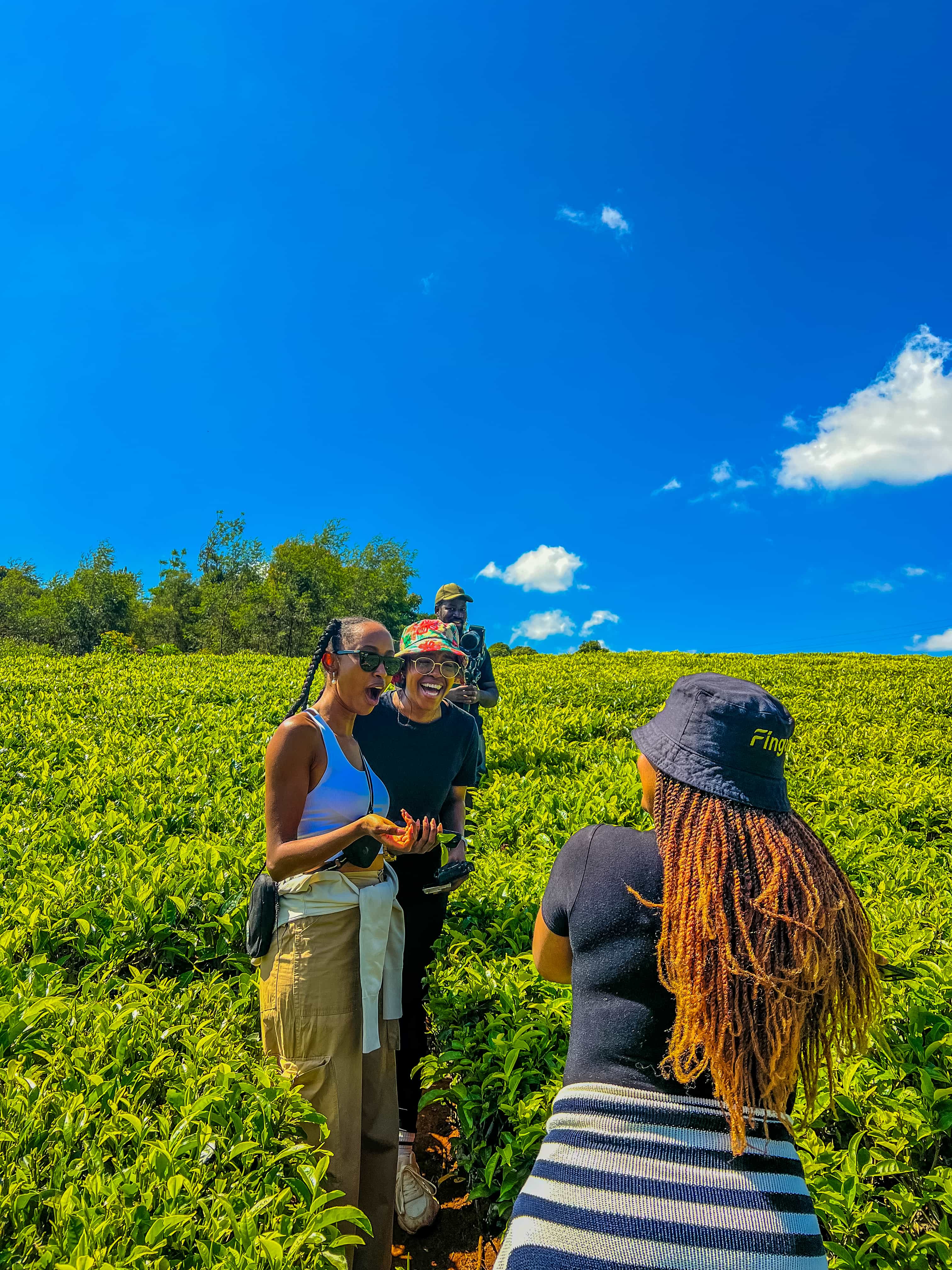 Hiking Tours