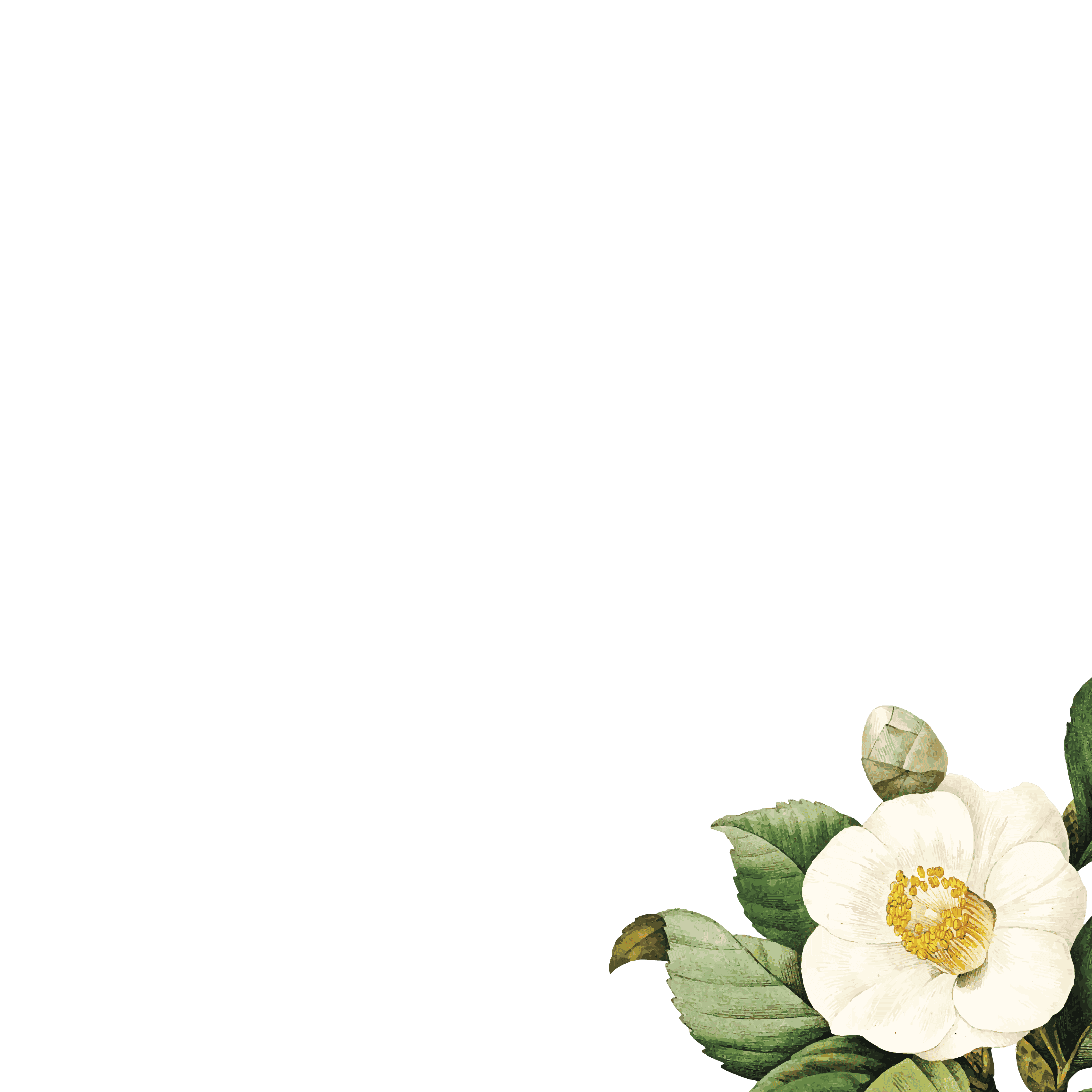 Decorative Flower