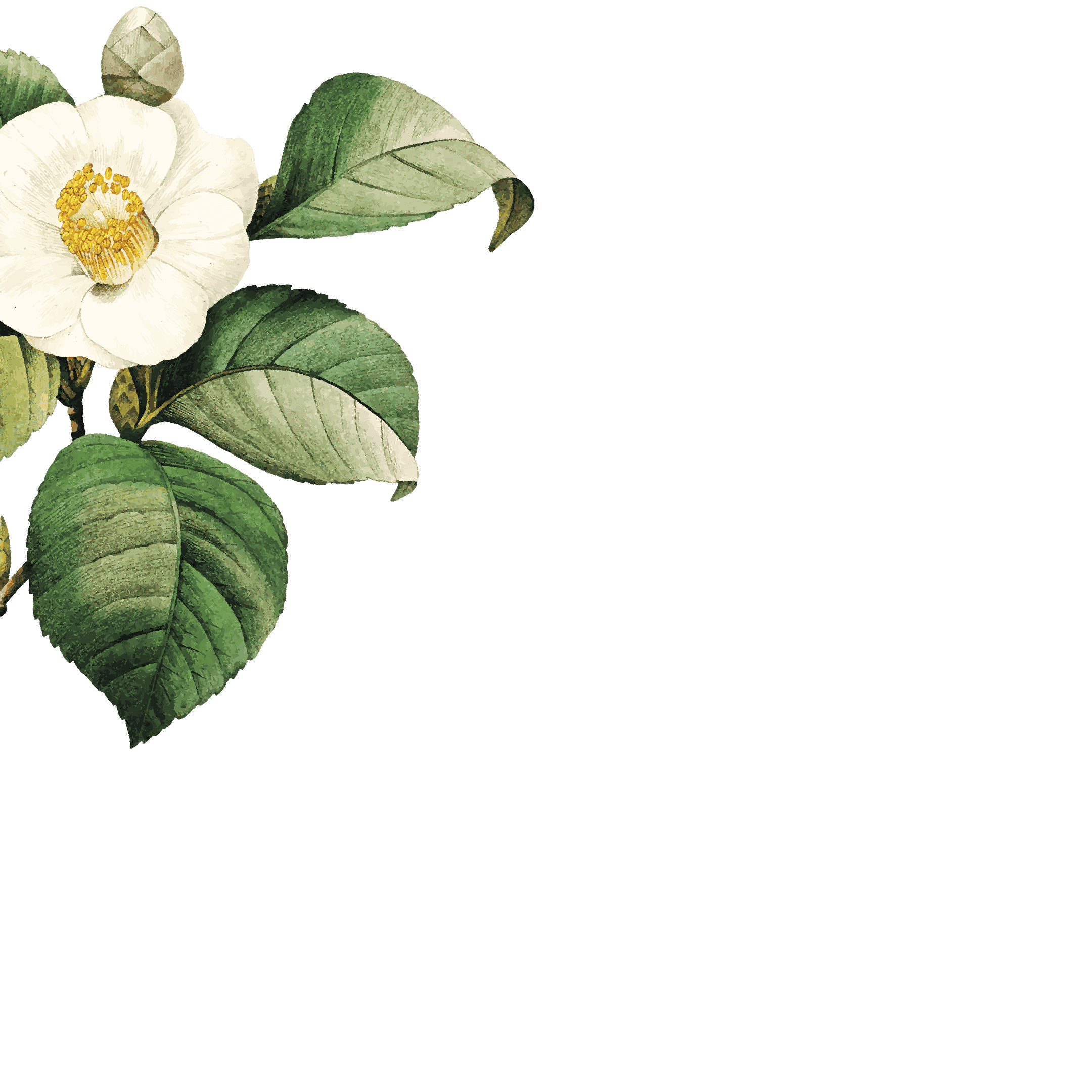 Decorative Flower