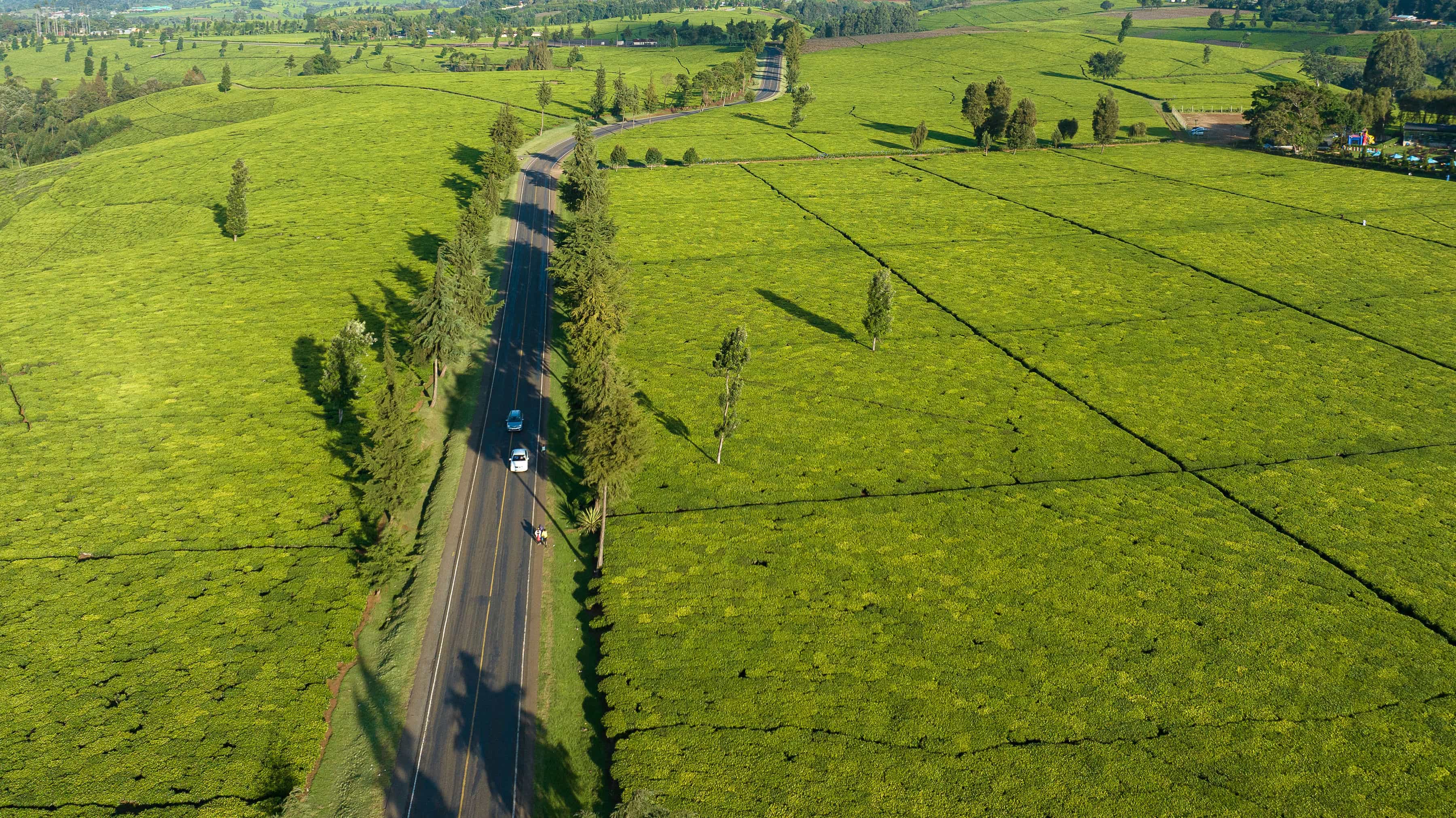 How to Get to Tigoni from Nairobi