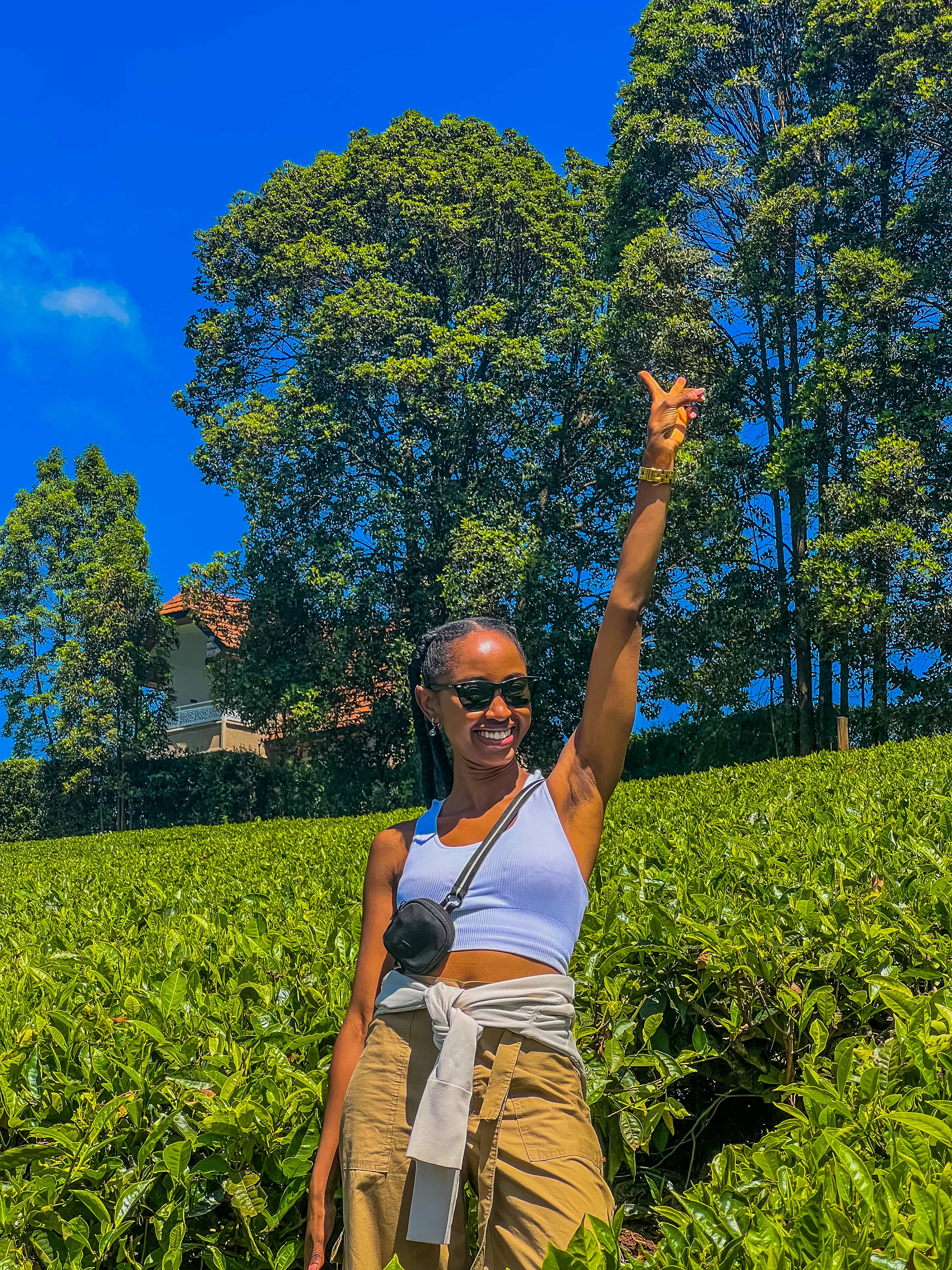 Farm Tours Near Me (Tigoni & Nairobi Area)
