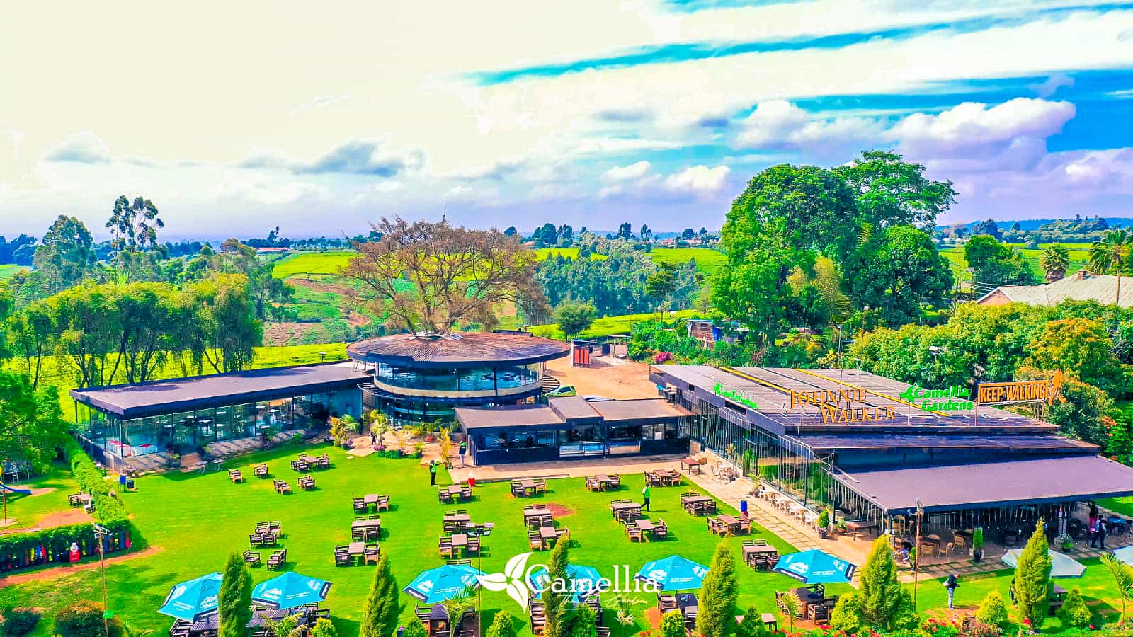 Camellia Gardens
