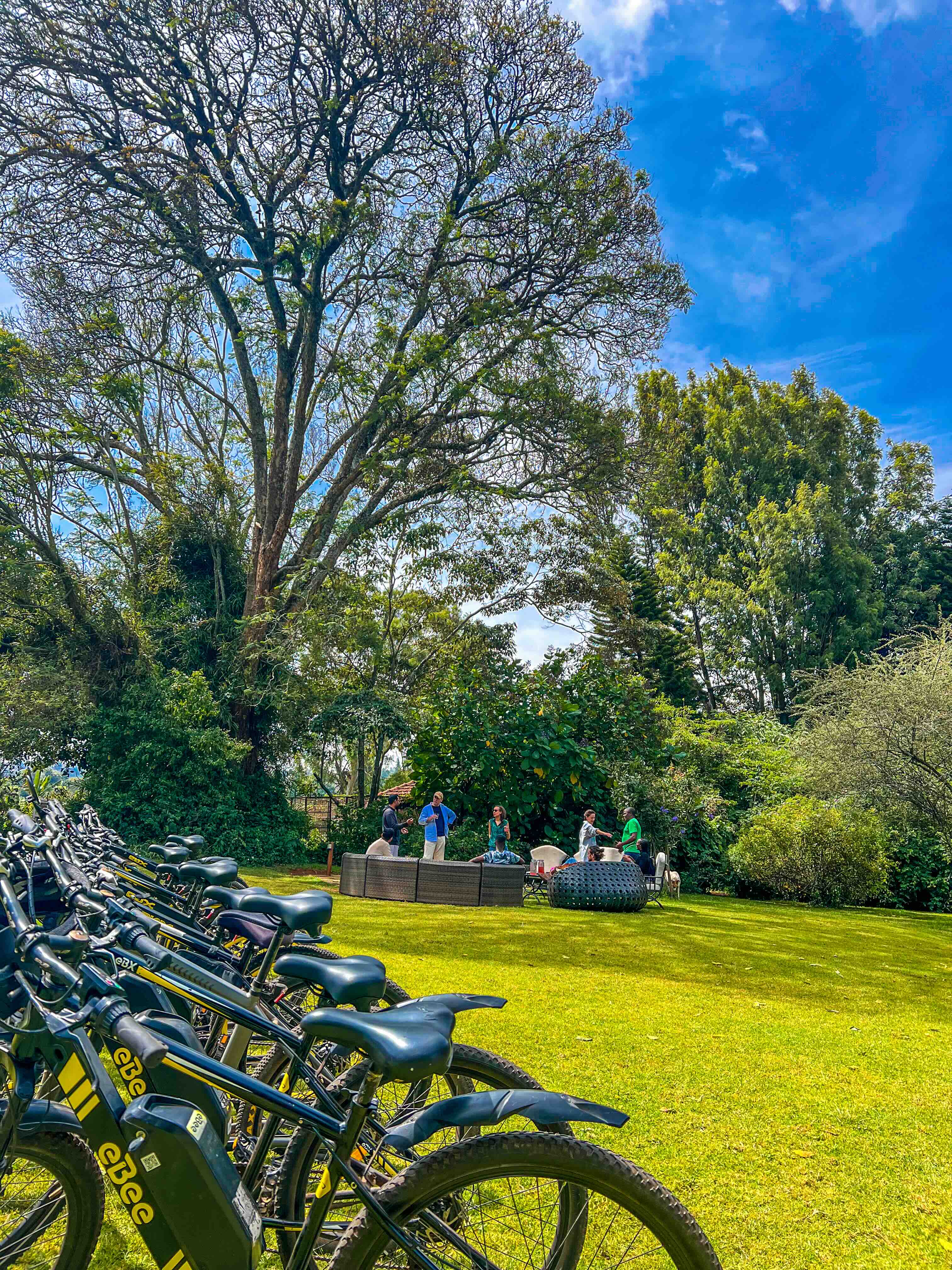 Cycling in Tigoni – The Ultimate Outdoor Adventure Near Nairobi