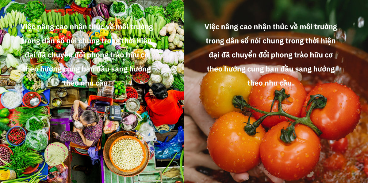 Hình ảnh không fuhop vs. fuhop. Cái bên trái là ảnh &ldquo;có jải&rdquo;, cái bên fải chả tên tuổi mẹ jisat. Kouveo nhặt đại vào làm minh họa, không suzung trong thietke thực tế