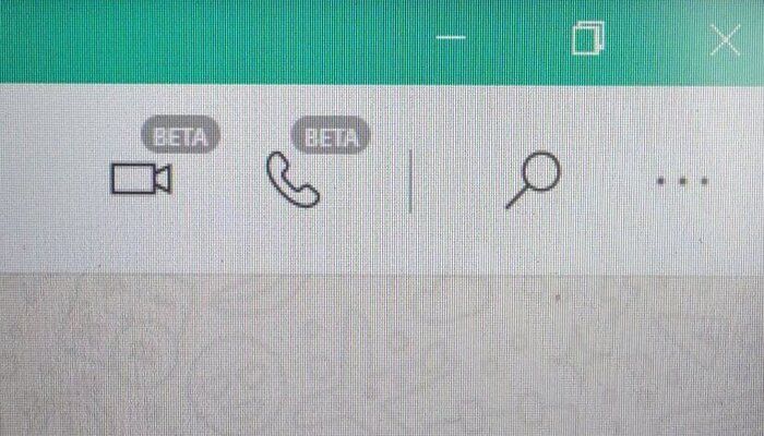 WhatsApp Web aduce apeluri vocale și video 2 WhatsApp Web - functie apeluri vocale si video