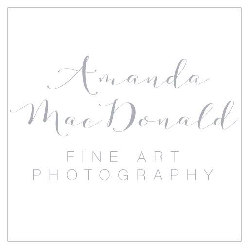 MEGA77 x Amanda MacDonald Photography | Galeri Seni & Kreativitas Digital