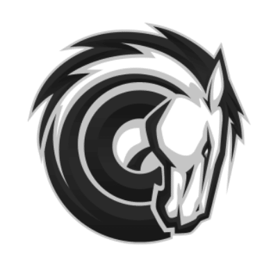 High school logo