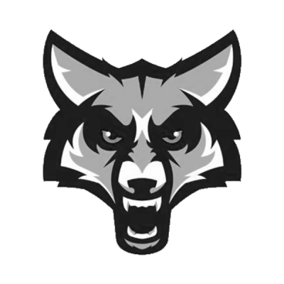High school logo