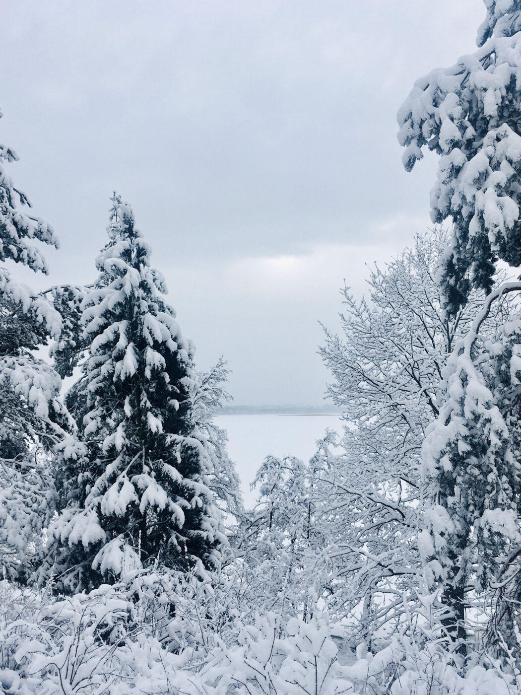 Talvinen maisema Tarvaspäästä