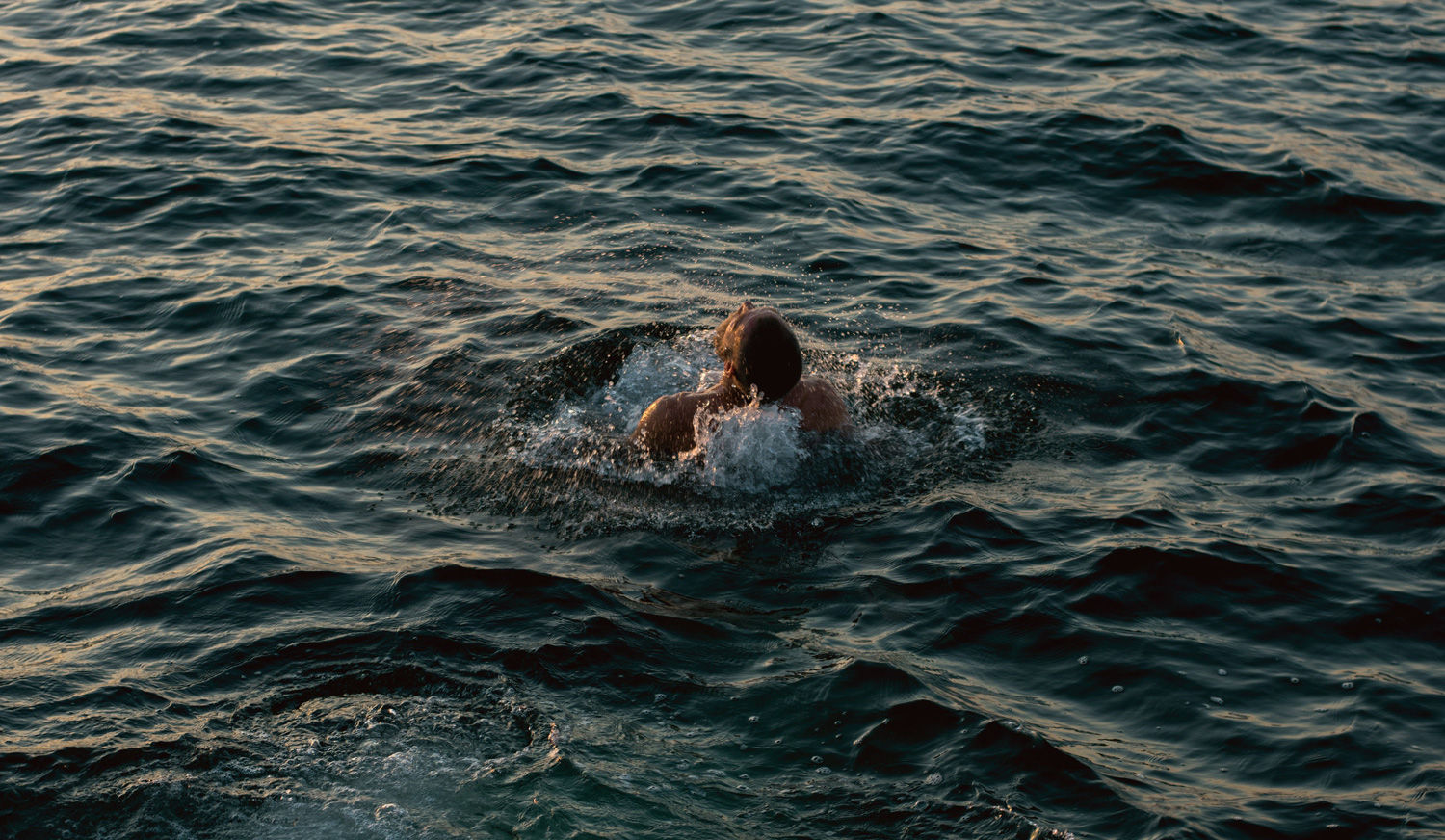 Mikkel Karstad - Winter swimming in Copenhagen