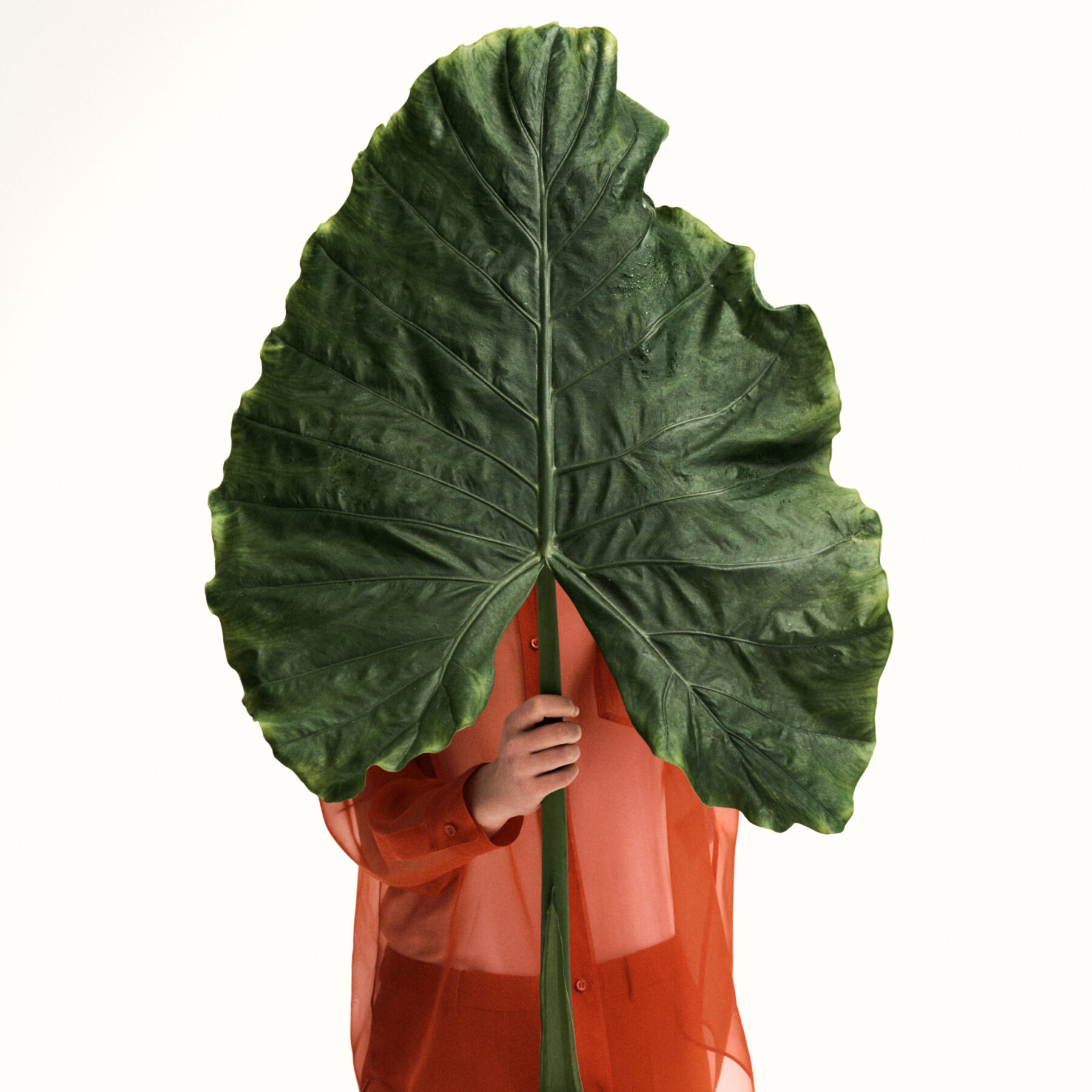The Kinfolk Garden - Kinfolk