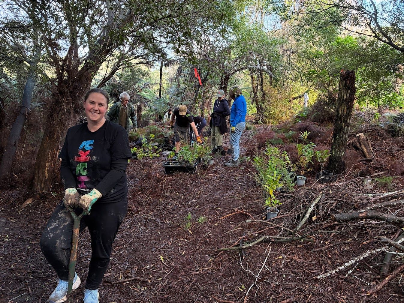 Sarah planting trees
