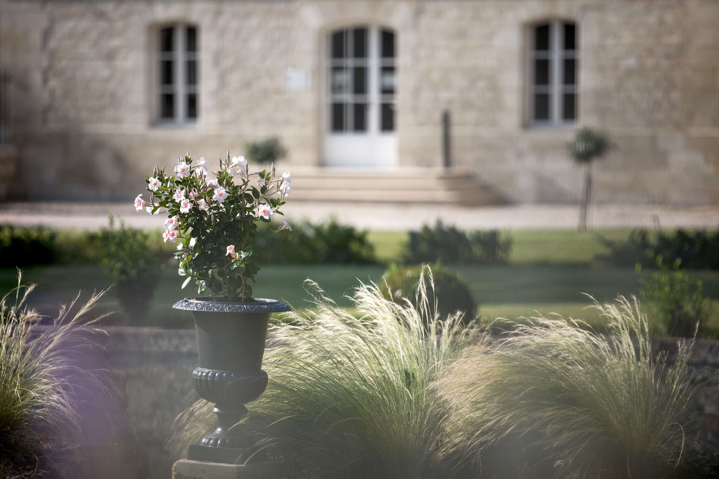 Vineyard - Château Kirwan