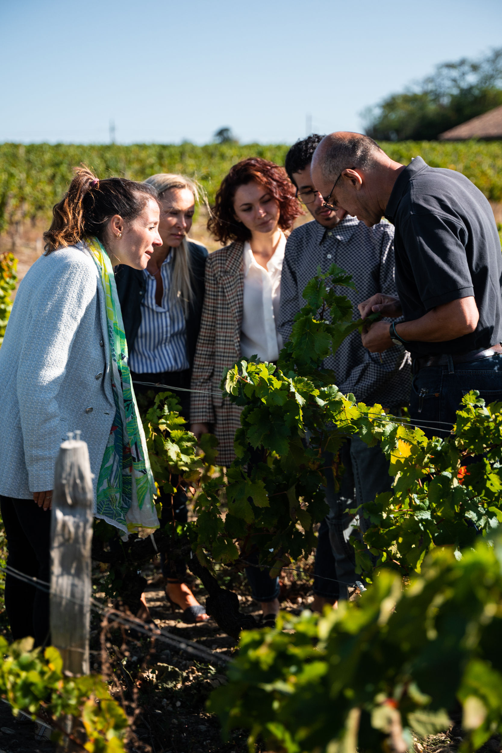 Visite en immersion - Château Kirwan