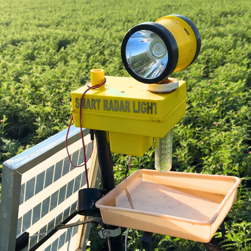 Solar Smart Radar Light