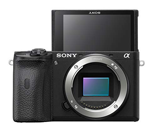 得価本物保証 SONY a6600 CarlZeiss1670mmF4 SEL35F18セット ...