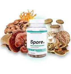 spore metabolic boost