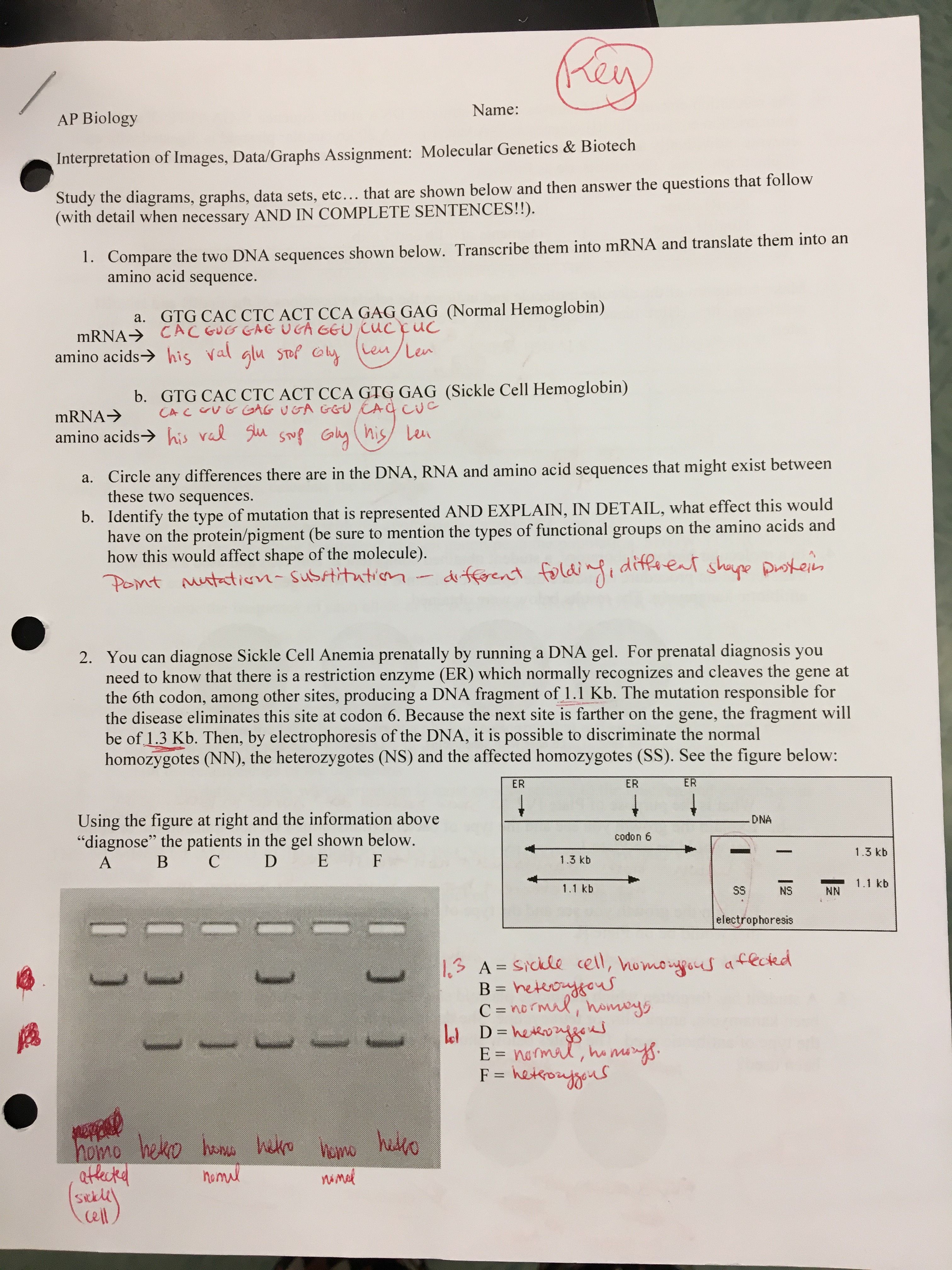 Pogil Answer Keys For Teachers Pogil Answer Keys For Teachers