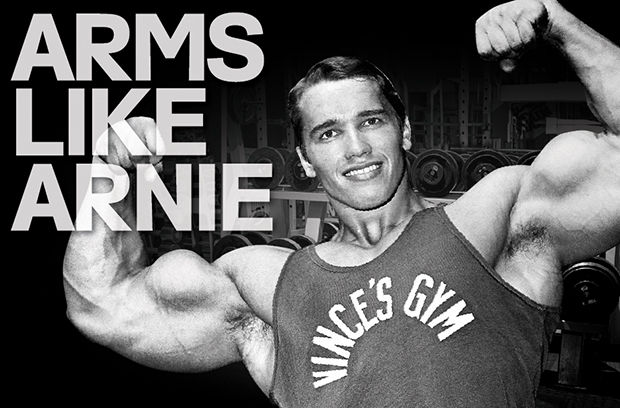 arnold schwarzenegger blueprint to cut pdf