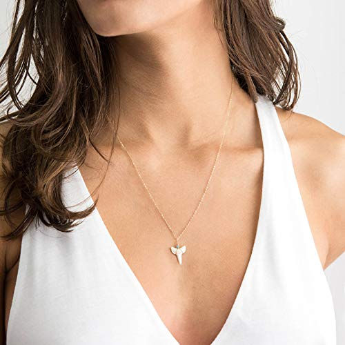 VACRONA Real Shark Tooth Necklace for 