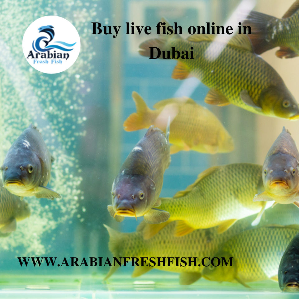 live fish order online