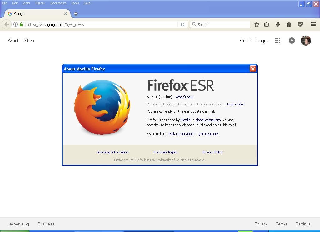 firefox esr 10