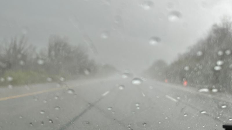 IMG 0019