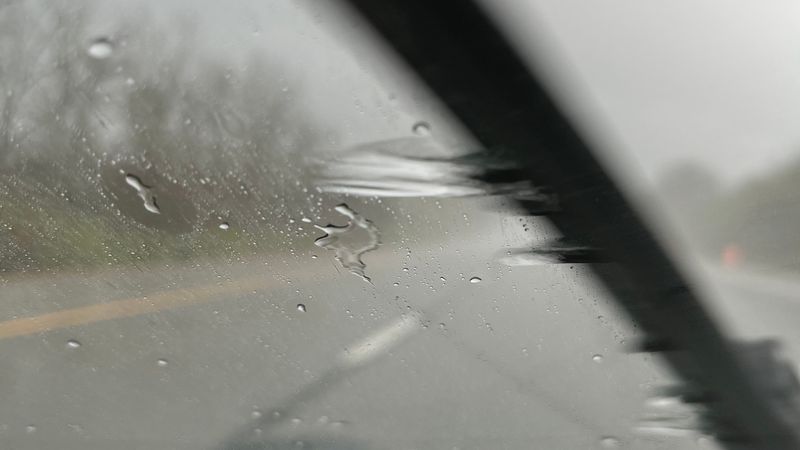 IMG 0020