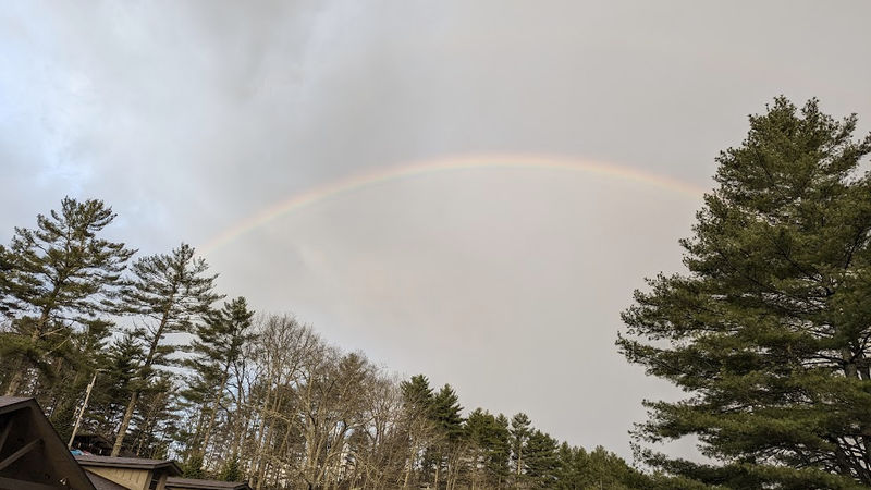 Image 33